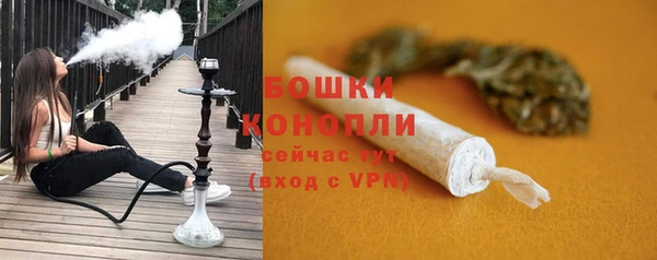 шишки Лагань