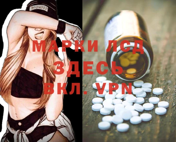 гашик Касимов
