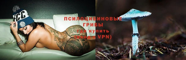 шишки Лагань