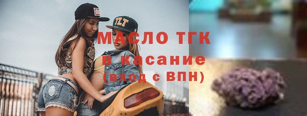 шишки Лагань