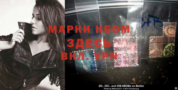 шишки Лагань