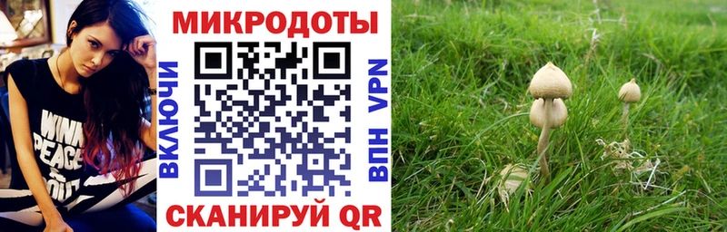 Псилоцибиновые грибы прущие грибы  как найти закладки  Тбилисская 