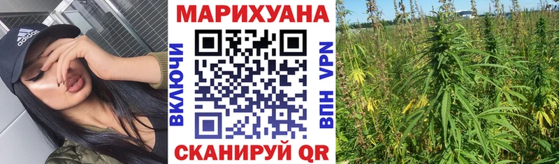 Шишки марихуана план  Тбилисская 